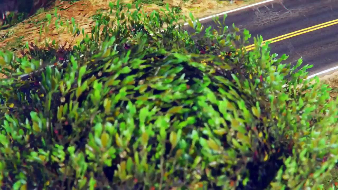 GTA 5 Next Gen - Fast & Furious 7 Paul Walker Tribute Scene ( GTA 5 Remix Ending Scene)