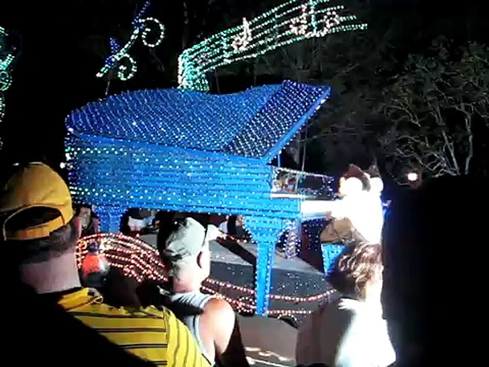 Spectro Magic Parade - Magic Kingdom