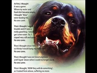 Nitro's Law PASSED 2013- You Can Now Rest in Peace courtesy of Save A Pitbull Productions