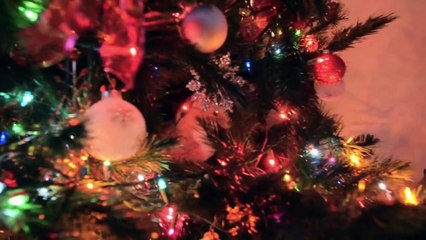 City the Kitty and his first Christmas tree