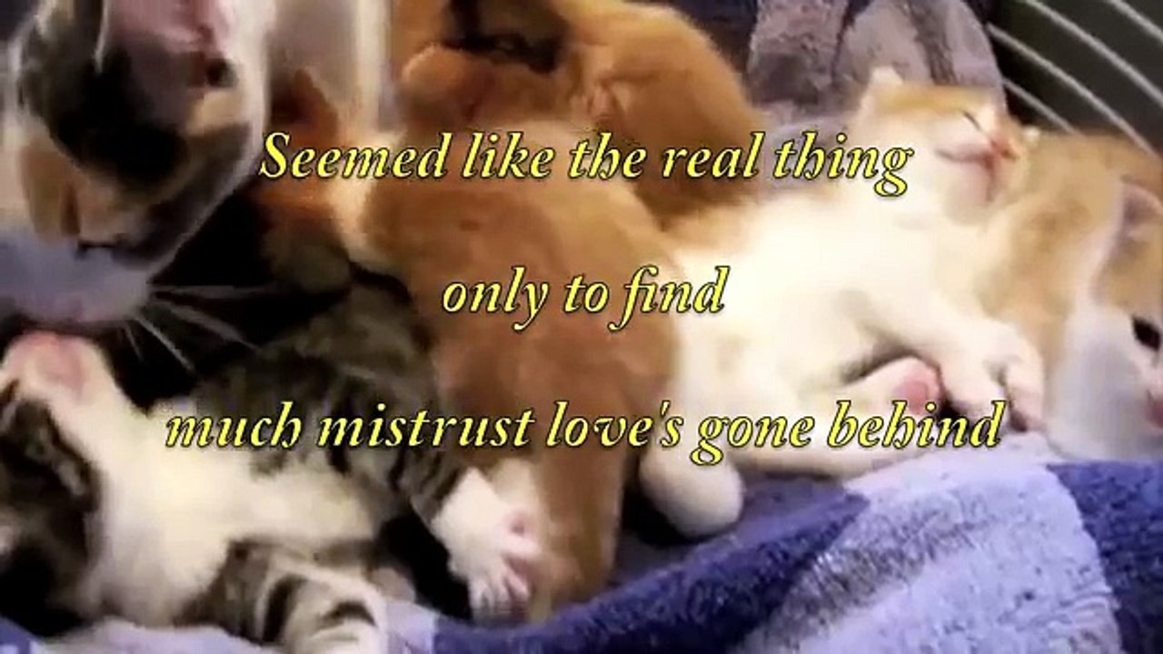 Heart of Glass - Blondie - Karaoke