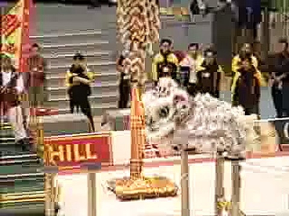 lion dance