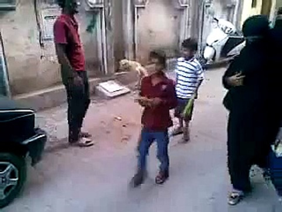 funny dog scene