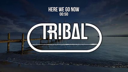 Tropkillaz x Snavs - Here We Go Now (ft. Fatman Scoop)
