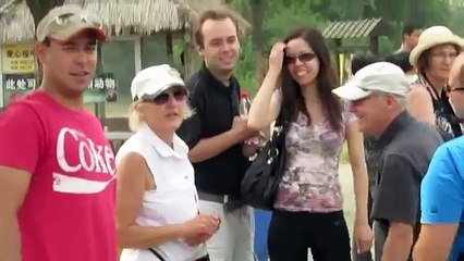 Feeding Live Chicken To Lion