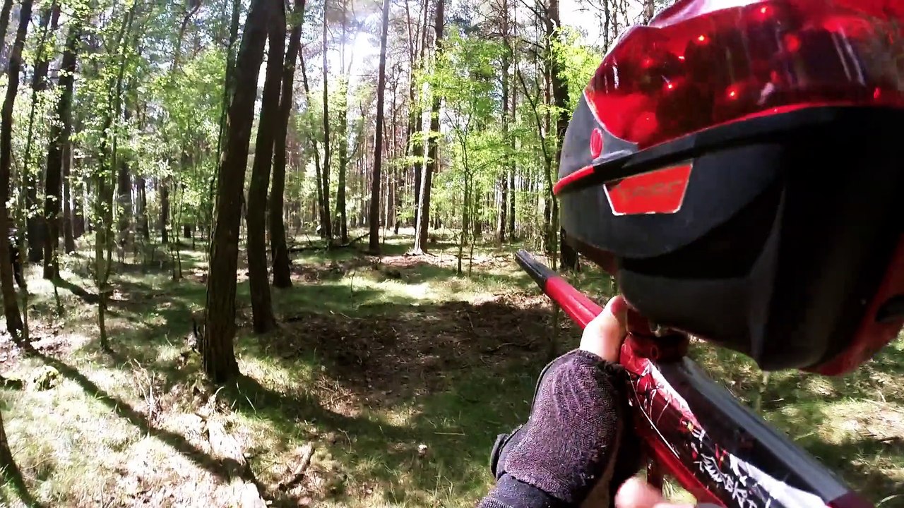 Eurobiggame Mahlwinkel 2015 Green Devils