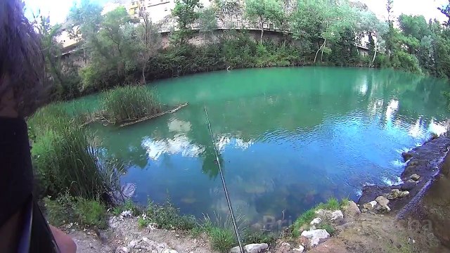 Pesca truchas rio jucar