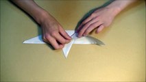 Folding Paper How to make a Paper Plane - Origami Bird Common Gull [Youtube]