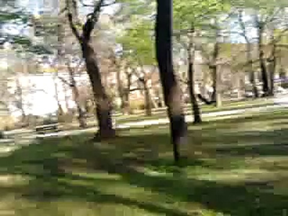 LG GM360 Video Sample Test