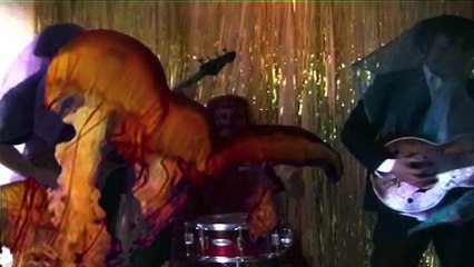 Wish I Was A Jellyfish Song Music Video - The Jellybottys