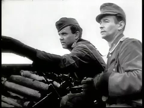 michael wittmann tiger destroys russian T34 +medals german WW2 ss tank ace