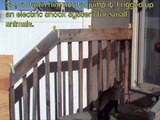 Cat Jump Fail- Cat Gets Shocked by Electric Wired Handrail / Fence