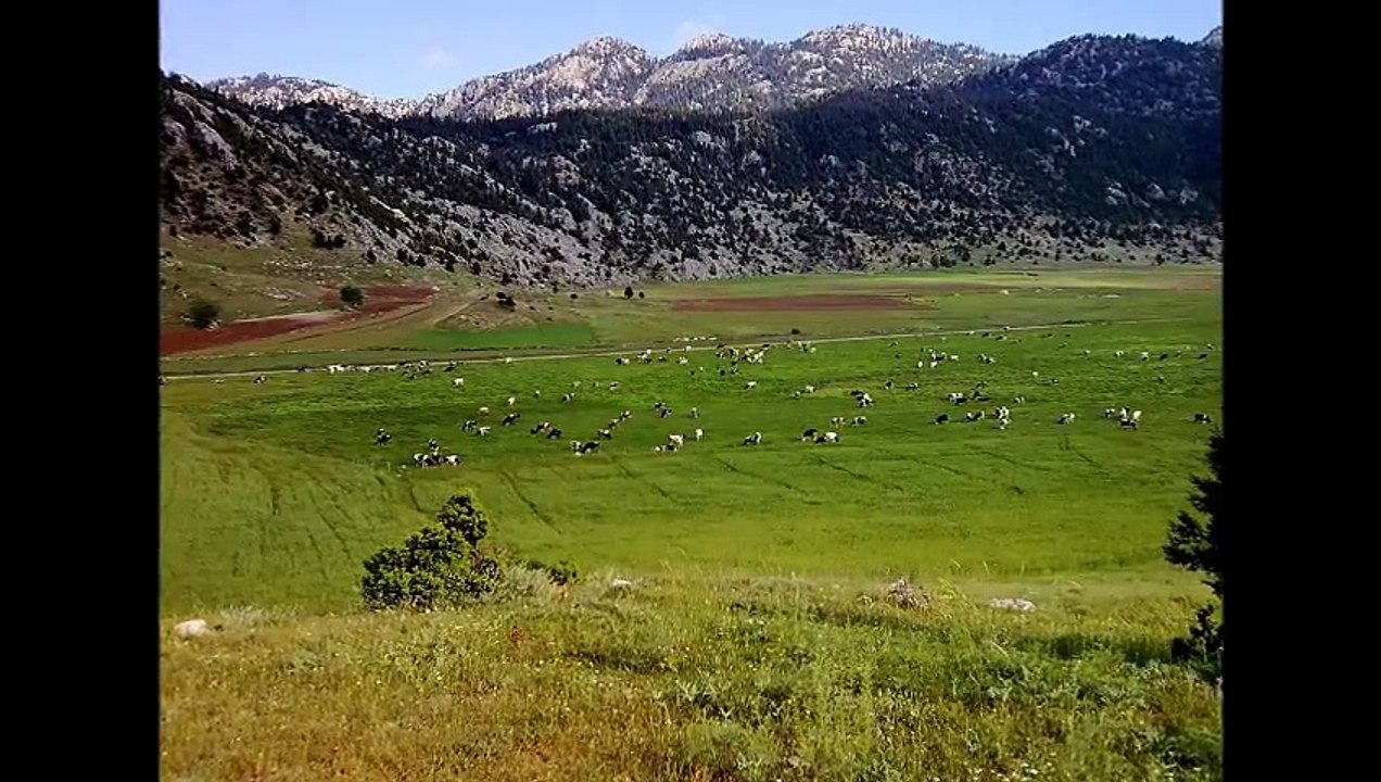 GEBEN SİSNE KARGAÇAYIRINDAN KARELER....ANDIRIN.