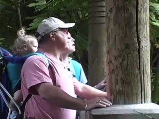 Tusko's tusk extraction surgery