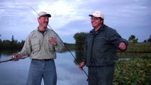 How To Fish For Night Time Catfish - With Insane Catfish Fish-Catching Action!