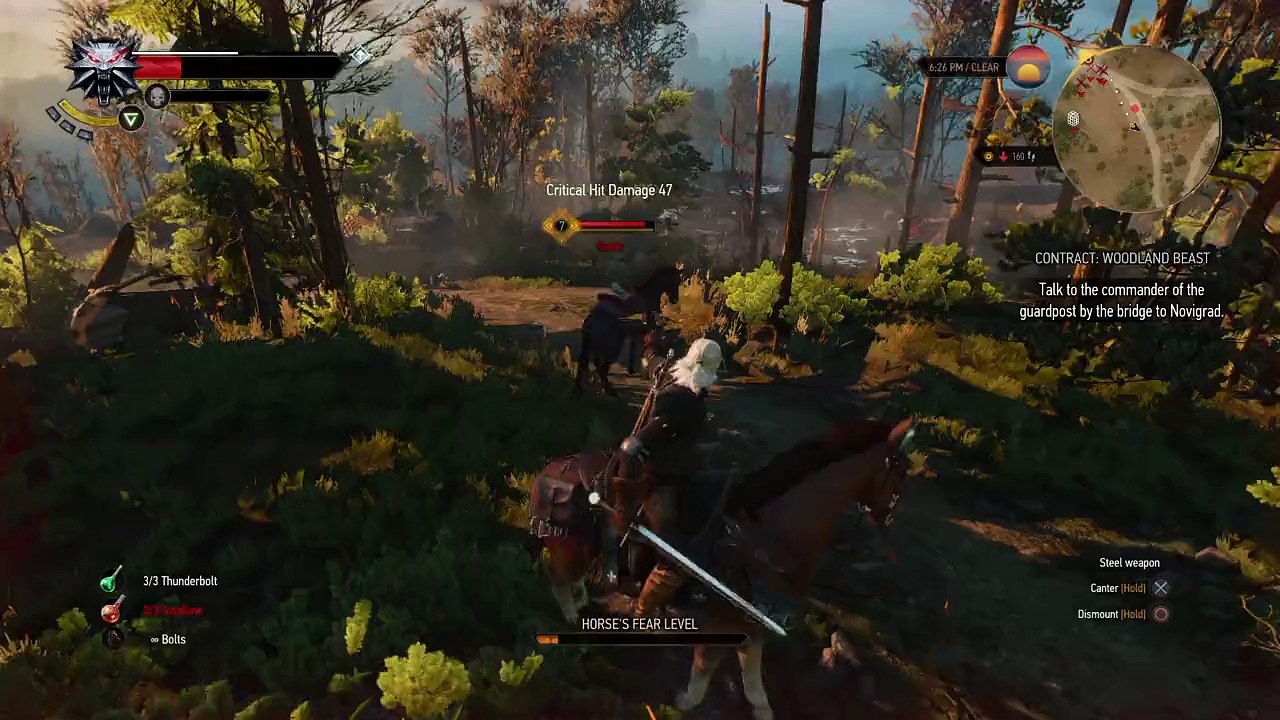 The Witcher 3: Wild Hunt_20150523214849
