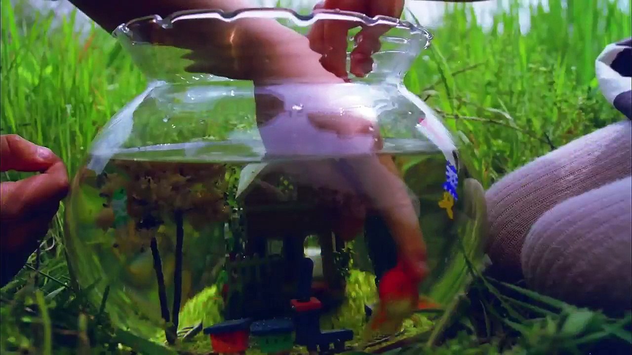 Kim Sung Kyu - Kontrol