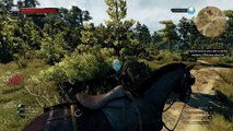 The Witcher 3: Wild Hunt with SweetFX