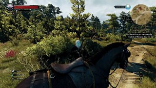 The Witcher 3: Wild Hunt with SweetFX