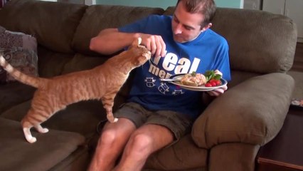 Ну дай чуть-чуть!!!