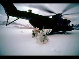 US Navy SEALs Cadence: Sons of UDT
