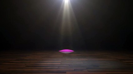 After Effects Project Files - Pop Reveal - VideoHive 10091007