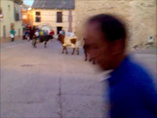 Encierro en Alcazarén (Valladolid) 22-07-2011 (4)