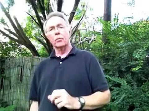 My Dog Growls. Is he aggressive ?