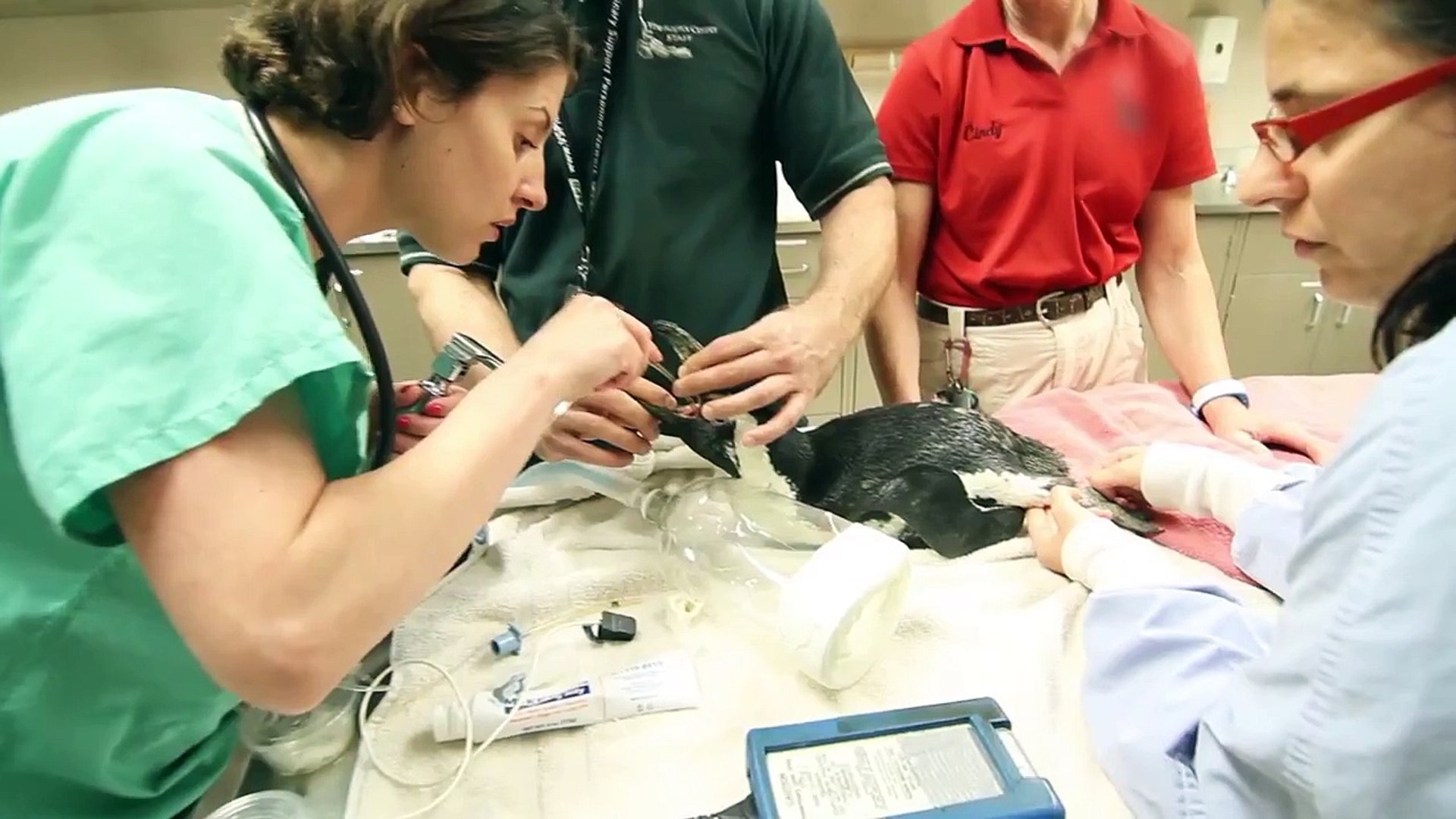 ⁣UMN Veterinary Medical Center