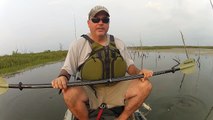 Kayak Bowfishing