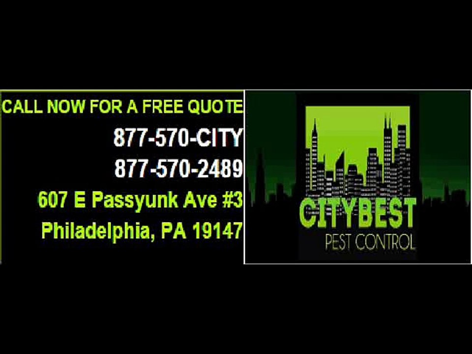 Bed Bugs Exterminator - www.citybestpestcontrol.com