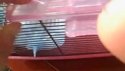 pressentation de la cage pour une souri rat et gerbille