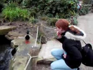 Conversation avec un canard