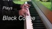 Video of Black Coffee -  piano solo by Surrey based jazz pianist  Eugene Portman