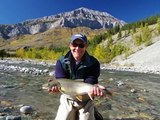 Fly fishing for Bull Trout in Fernie, BC Elk River Tribs