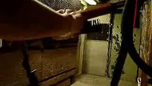 disparando ak-47 cuerno de chivo y pistola escuadra