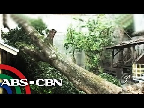 'Henry' to bring rains over Eastern Visayas, Bicol