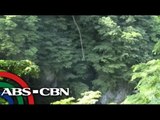 Man breaks bungee jumping world record