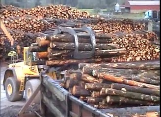 Timber Conversion Methods 🌲