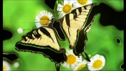 Les Miracles d'allah.   Que Personne Ne Peut Nier.