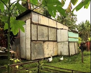 My Shocking Story: Octopus Man - Finding Rudy