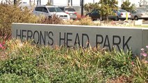 Silicon Valley Bank Volunteers at Heron's Head Park San Francisco