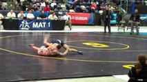 2013 NCAA Division III Wrestling Championships