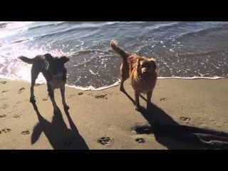 @Vardoc Random Life ( Parte 727 ) : Dichato! 22/05/2015