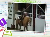 Horse-O-Rama 5-9 Walk Trot