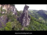 Imagens Aéreas Cão Sentado (Aerial Footage Sitting Dog)