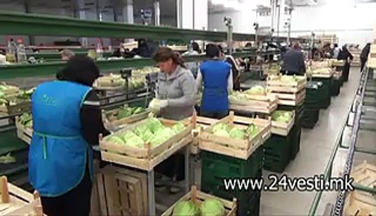 VANE TRAJKOV IZVOZ NA ZELENCUK