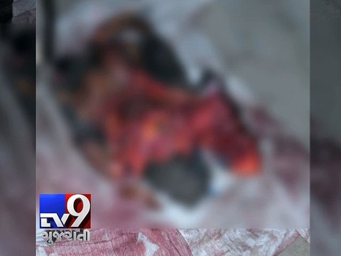 Kheda: 4 killed, 6 injured as truck plows into tractor - Tv9 Gujarati