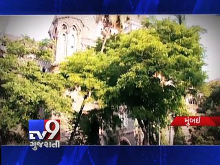Pothole-free roads a basic right: Bombay High Court - Tv9 Gujarati