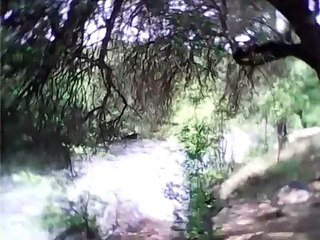 me and my dog camping